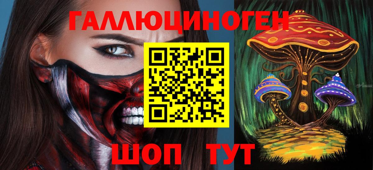 Псилоцибиновые грибы Psilocybe  Галлюциногенные грибы Cubensis  Новозыбков  Вход с VPN 