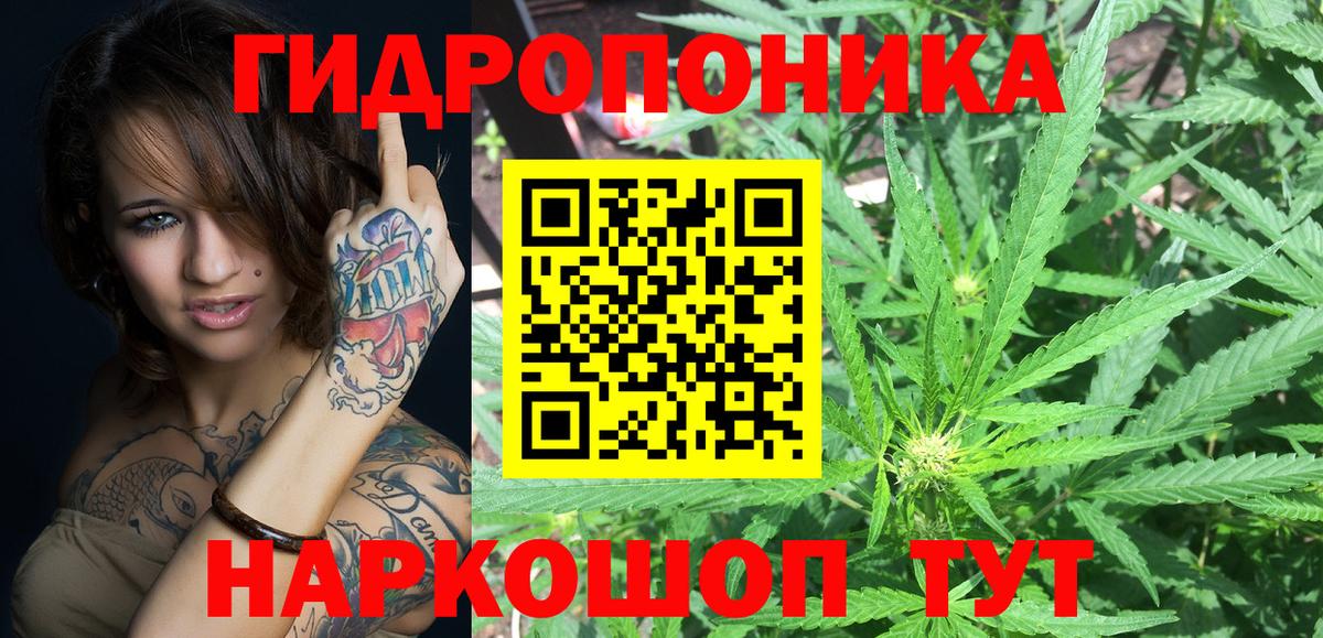 Бошки марихуана MAZAR  Канабис Ganja  Новозыбков  Шишки марихуана Amnesia  Вход с VPN 